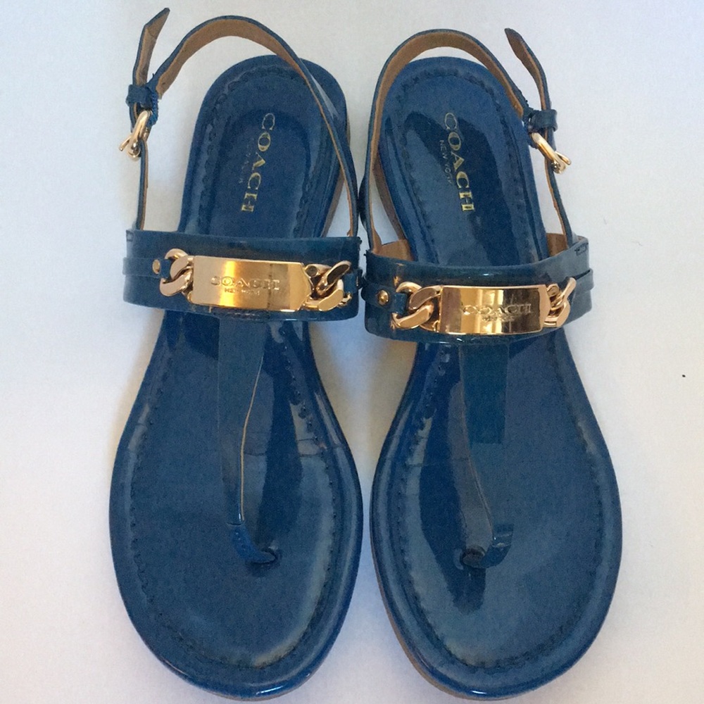Blue and gold Coach sandals